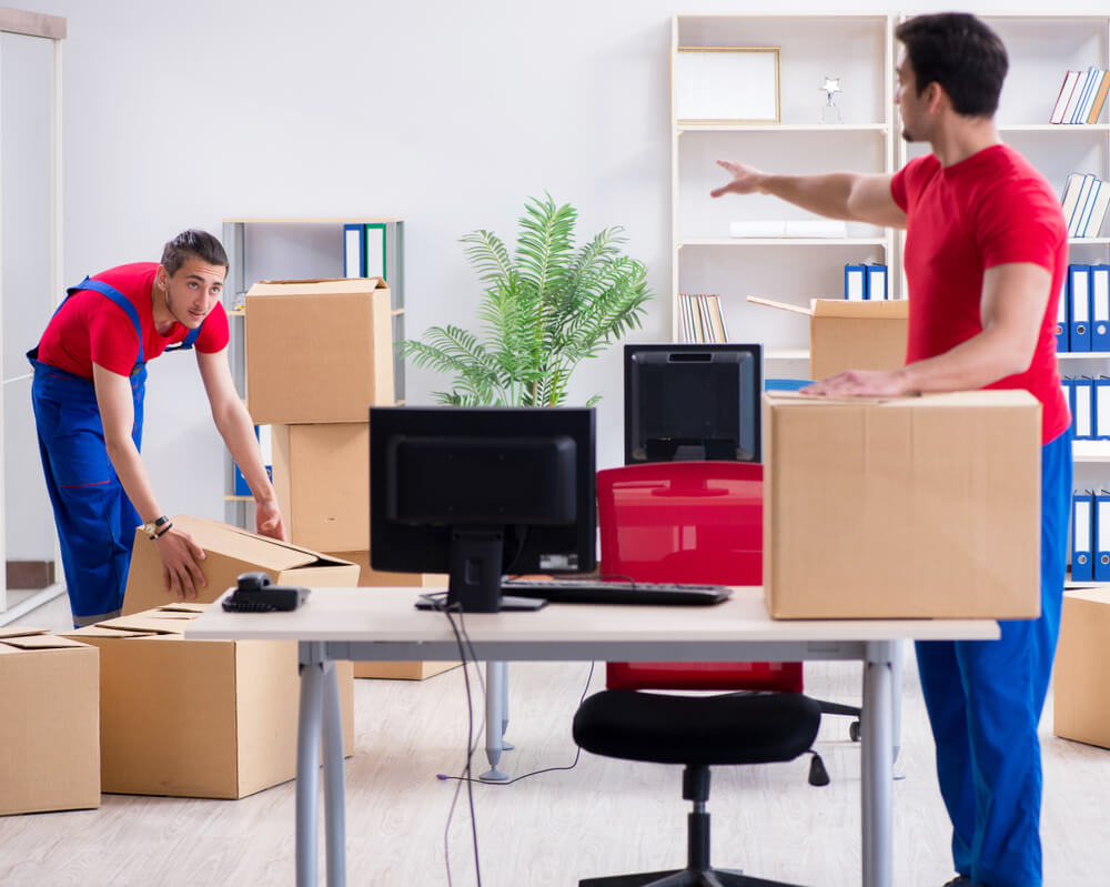 Professional Movers